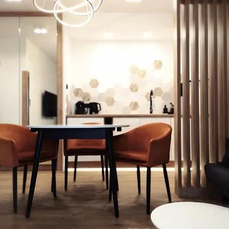 Nowoczesny Apartament: Targi I Mtp I Park Wilsona I Pkp Apartament Poznań